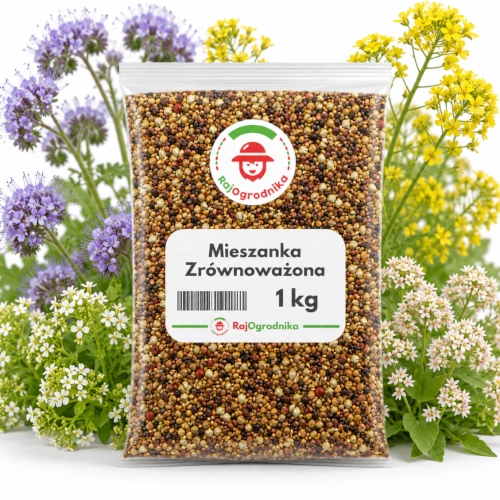 Mieszanka Zrównoważona nasiona na poplon 1 kg vis sklep rajogrodnika